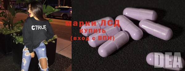 индика Алзамай