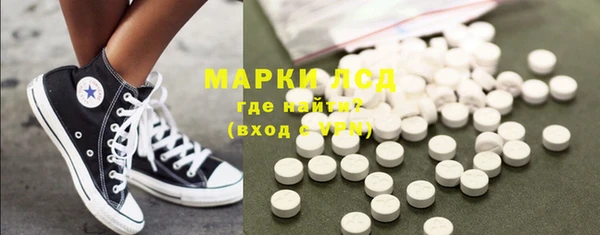 индика Алзамай