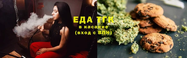 индика Алзамай
