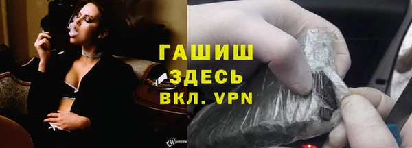 индика Алзамай