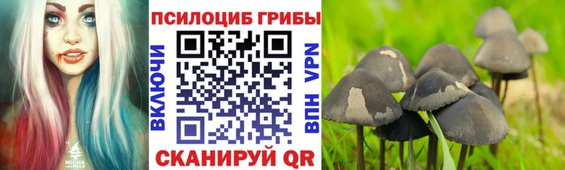 Псилоцибиновые грибы мухоморы  Балашиха 