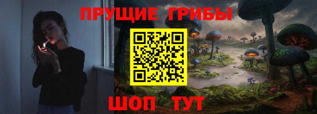Балашиха  Псилоцибиновые грибы ЛСД  Вход с VPN 
